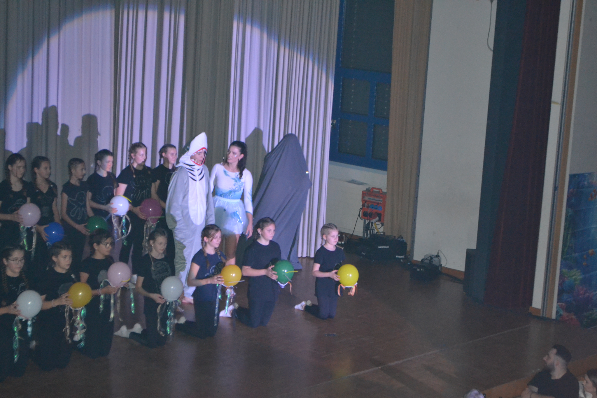 Bild2 (139)